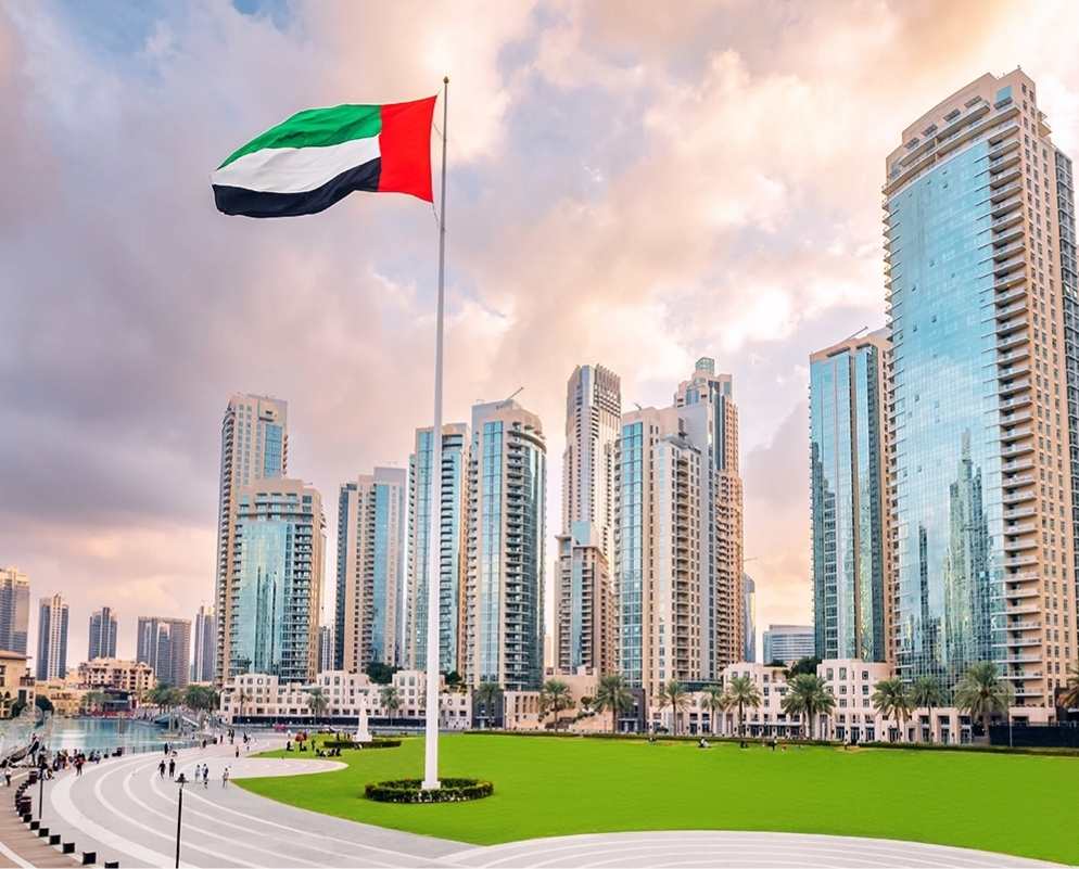 Freezone Company Formation in UAE | Dhanguard